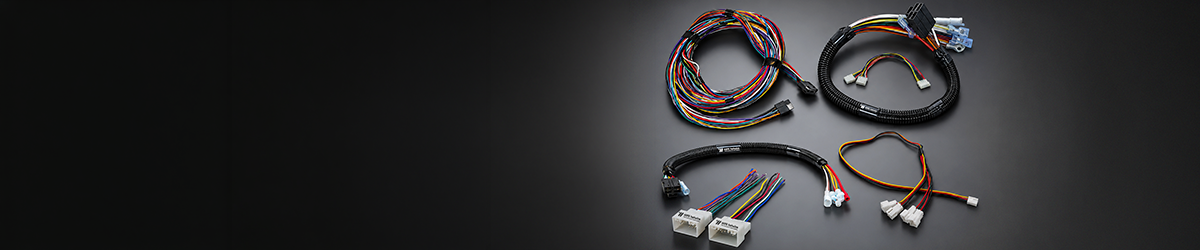 Lighting Harness